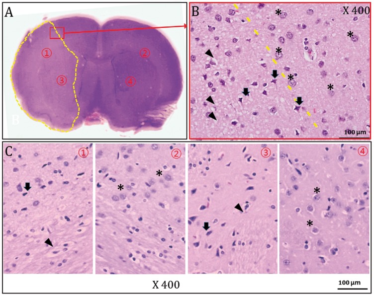 Figure 6.