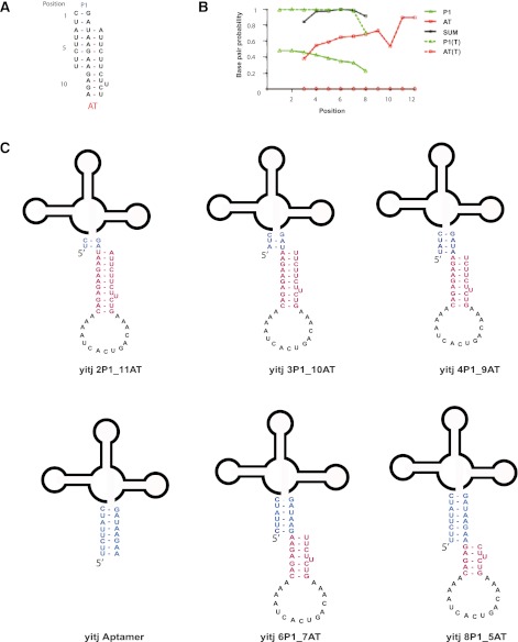 FIGURE 2.