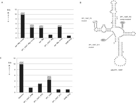 FIGURE 3.