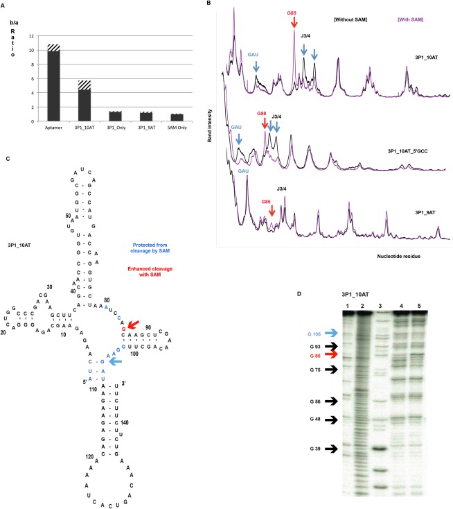 FIGURE 4.