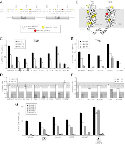 Fig. 4.