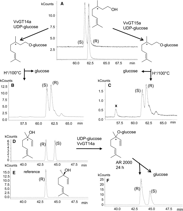 Figure 7.