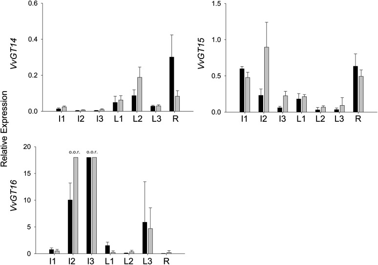 Figure 3.