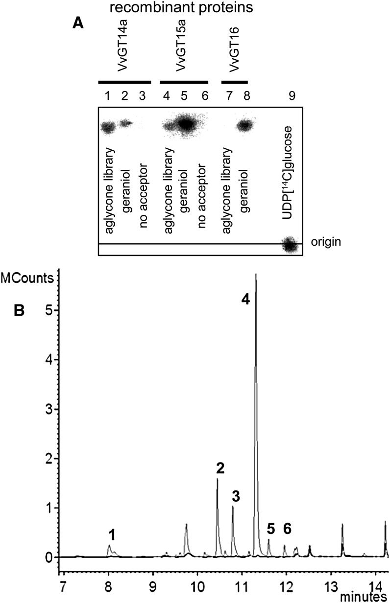 Figure 9.