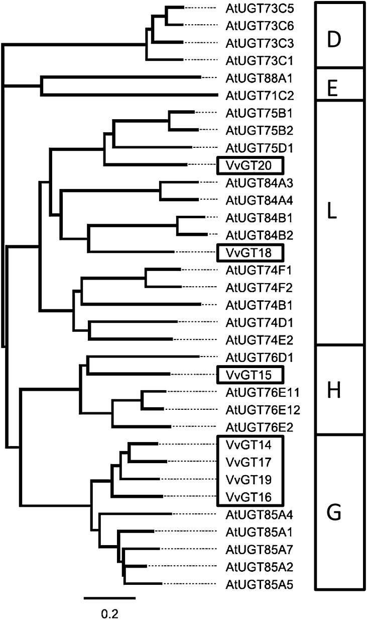 Figure 2.