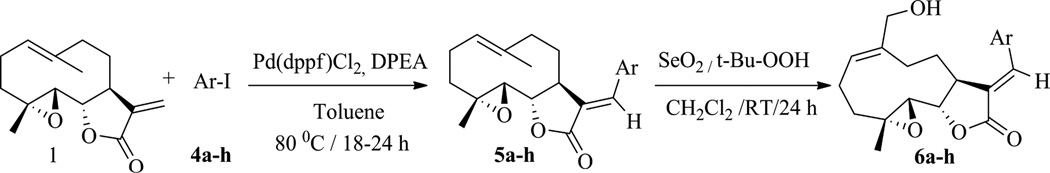 Scheme 1