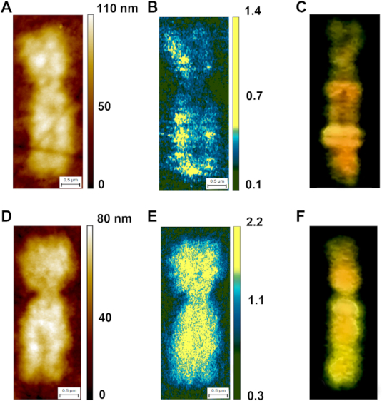 Figure 5.