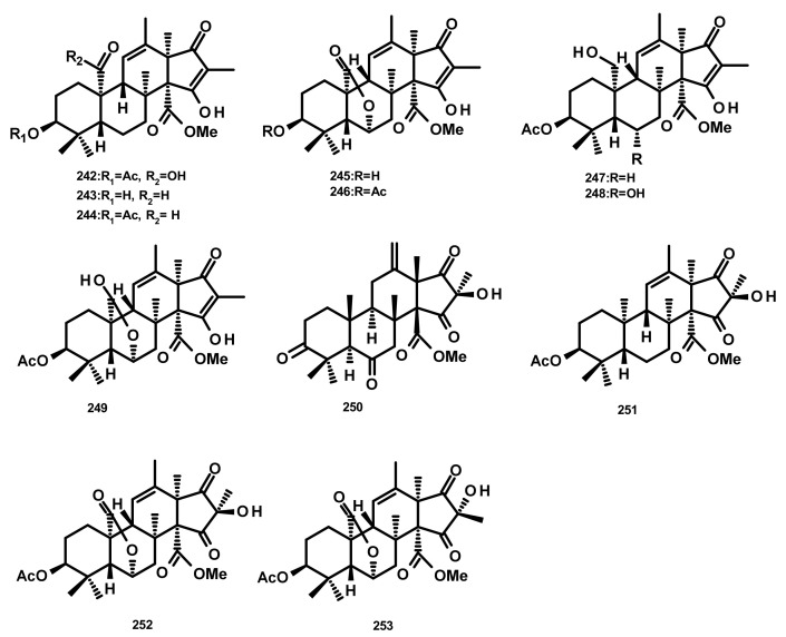 Figure 22