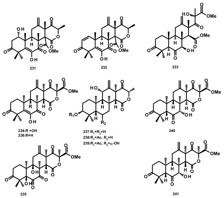 Figure 21