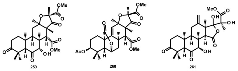 Figure 24