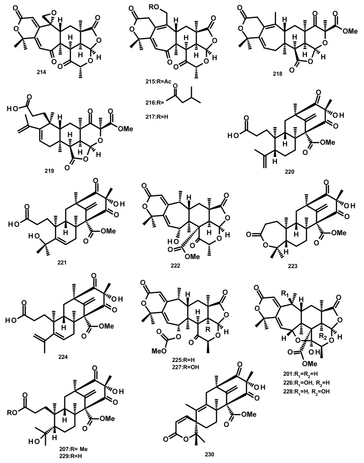 Figure 20