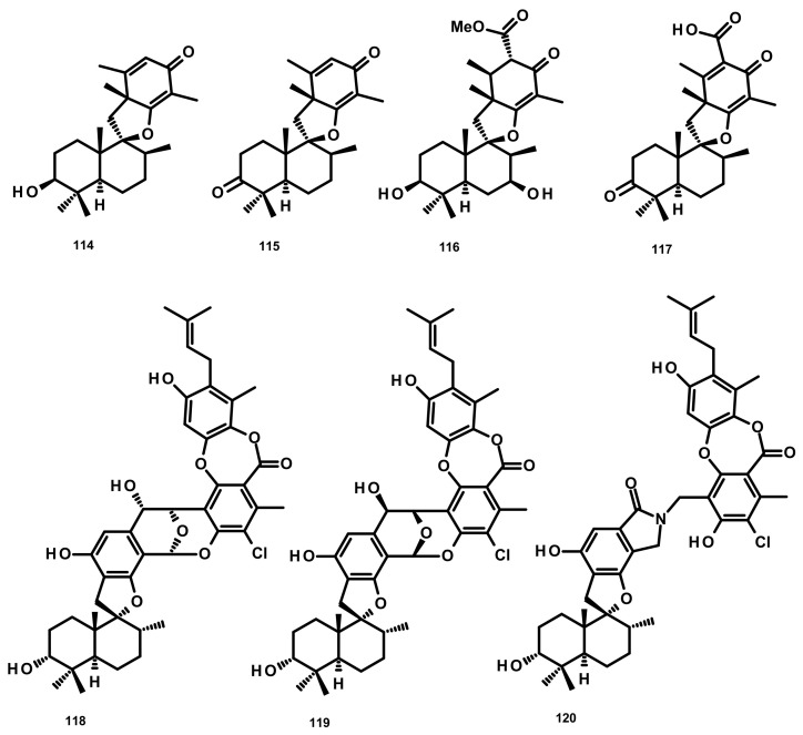 Figure 12