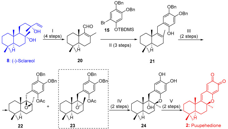 Scheme 3