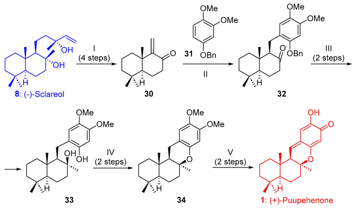 Scheme 5