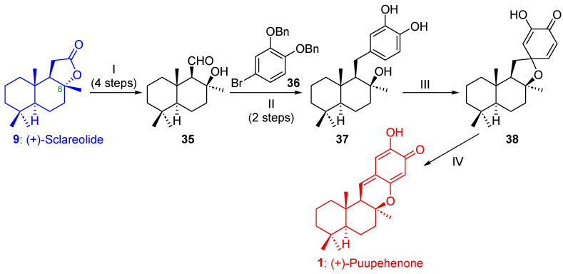 Scheme 6