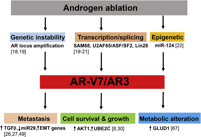 Figure 1