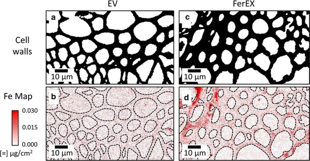 Fig. 4