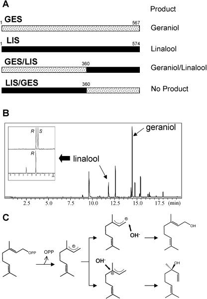 Figure 6.