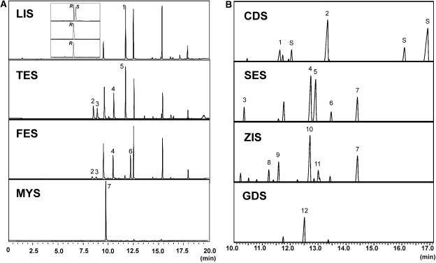 Figure 5.