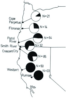 Figure 11. 