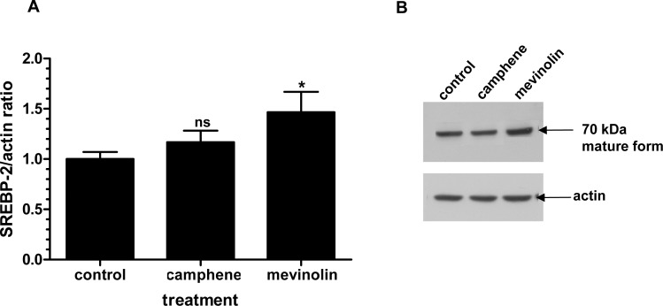 Fig 10