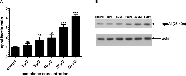 Fig 7