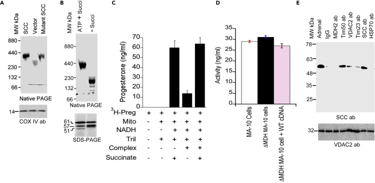 Figure 5