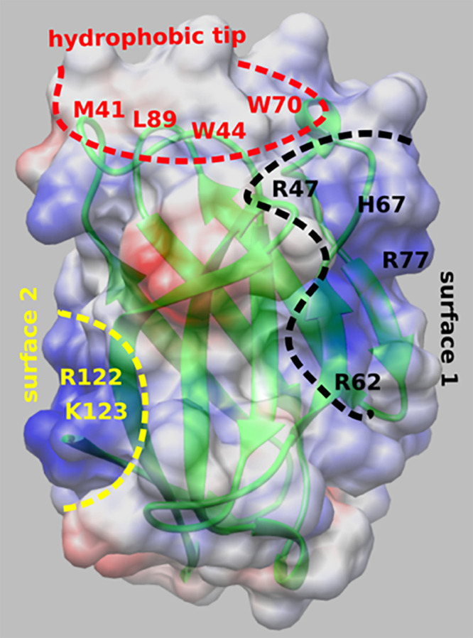 Fig. 1.