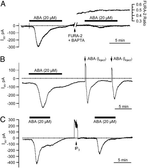 Fig. 3.