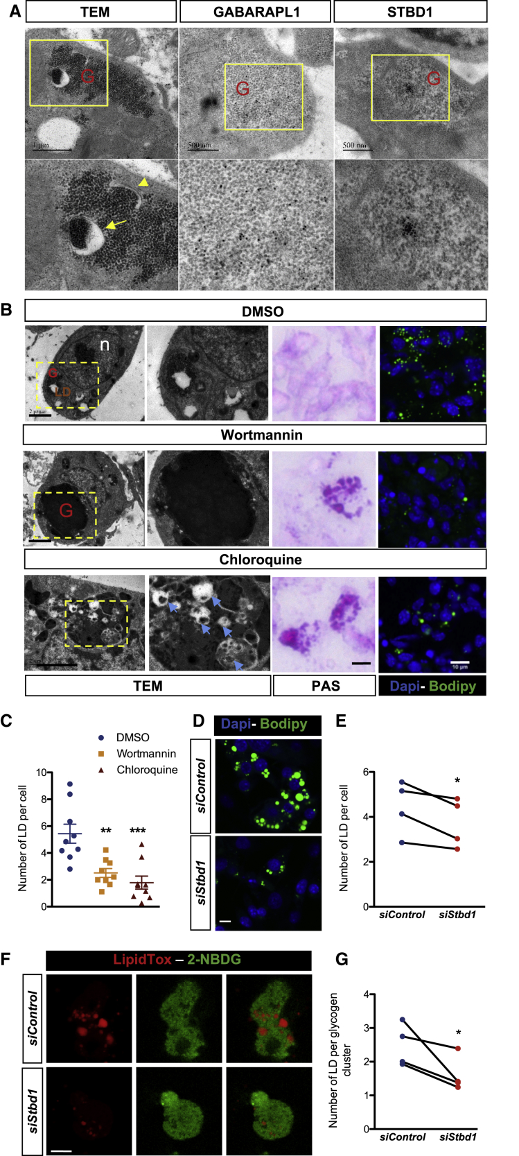 Figure 4