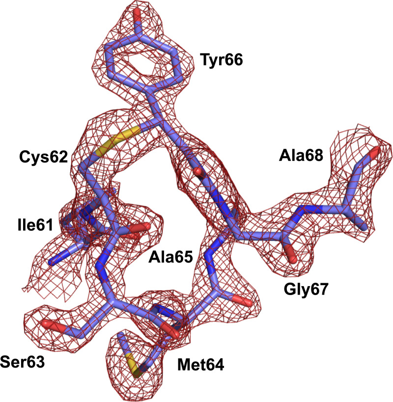 Fig 6