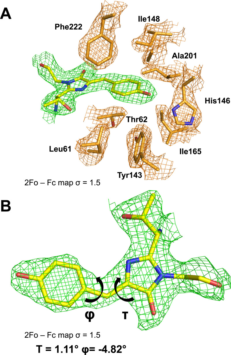 Fig 5