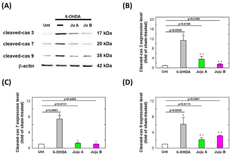 Figure 12