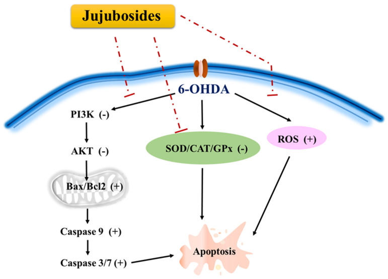 Figure 13