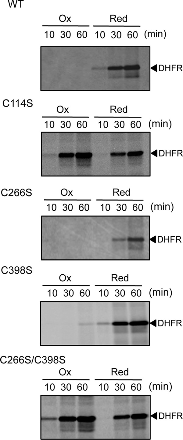 FIGURE 3.