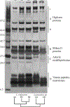 Figure 1_