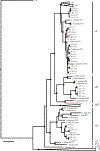 Figure 3 _