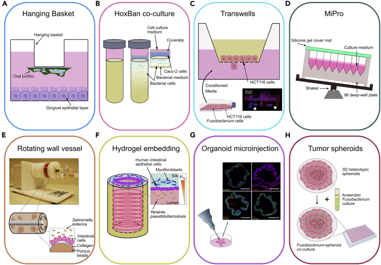 Figure 3