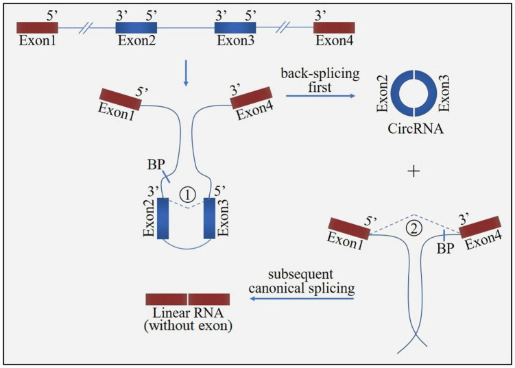 FIGURE 3