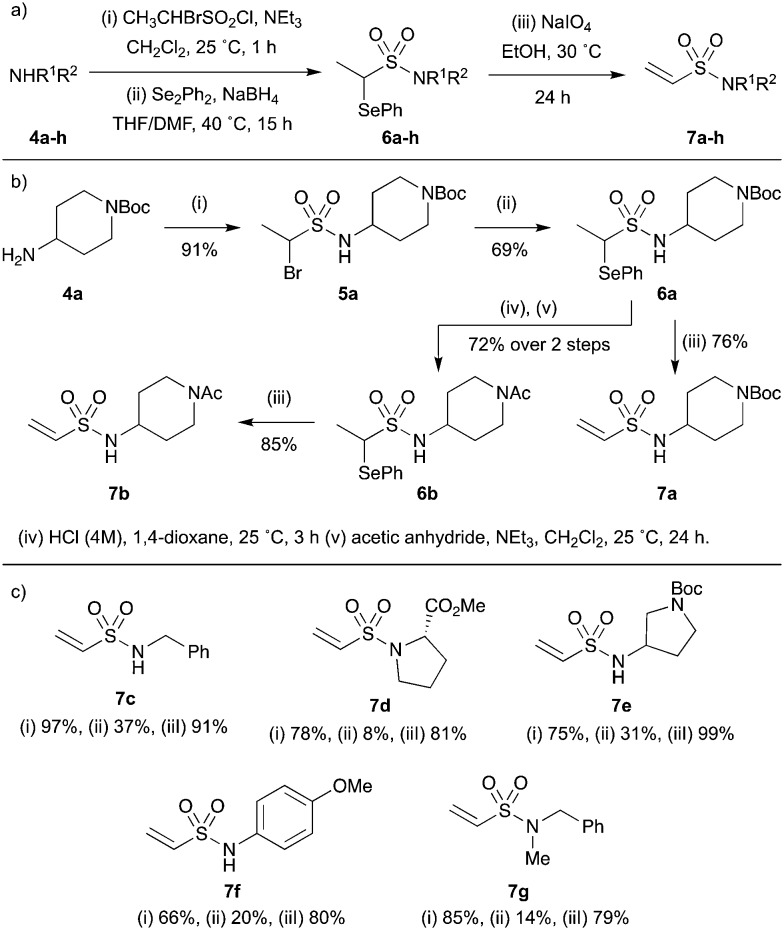 Scheme 3