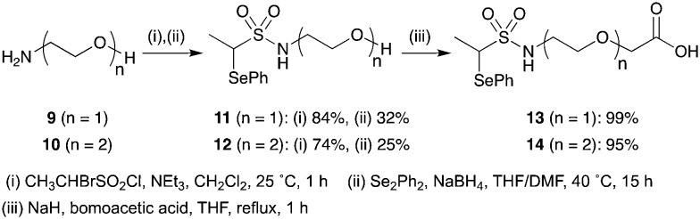 Scheme 5