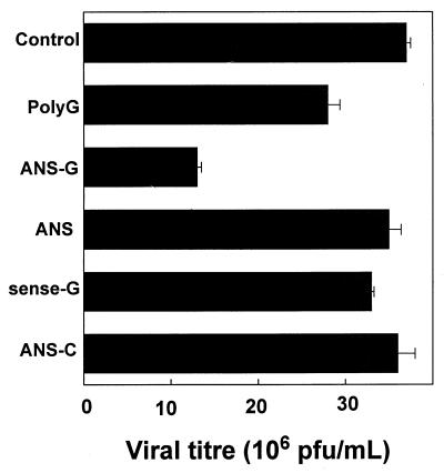 FIG. 7