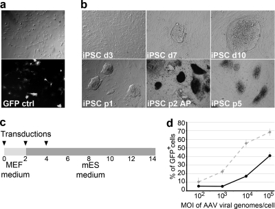 Fig 1