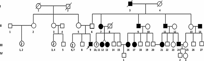 Fig. 3