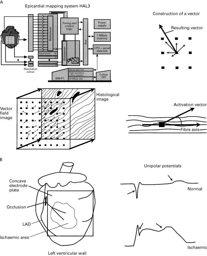 Figure 1  