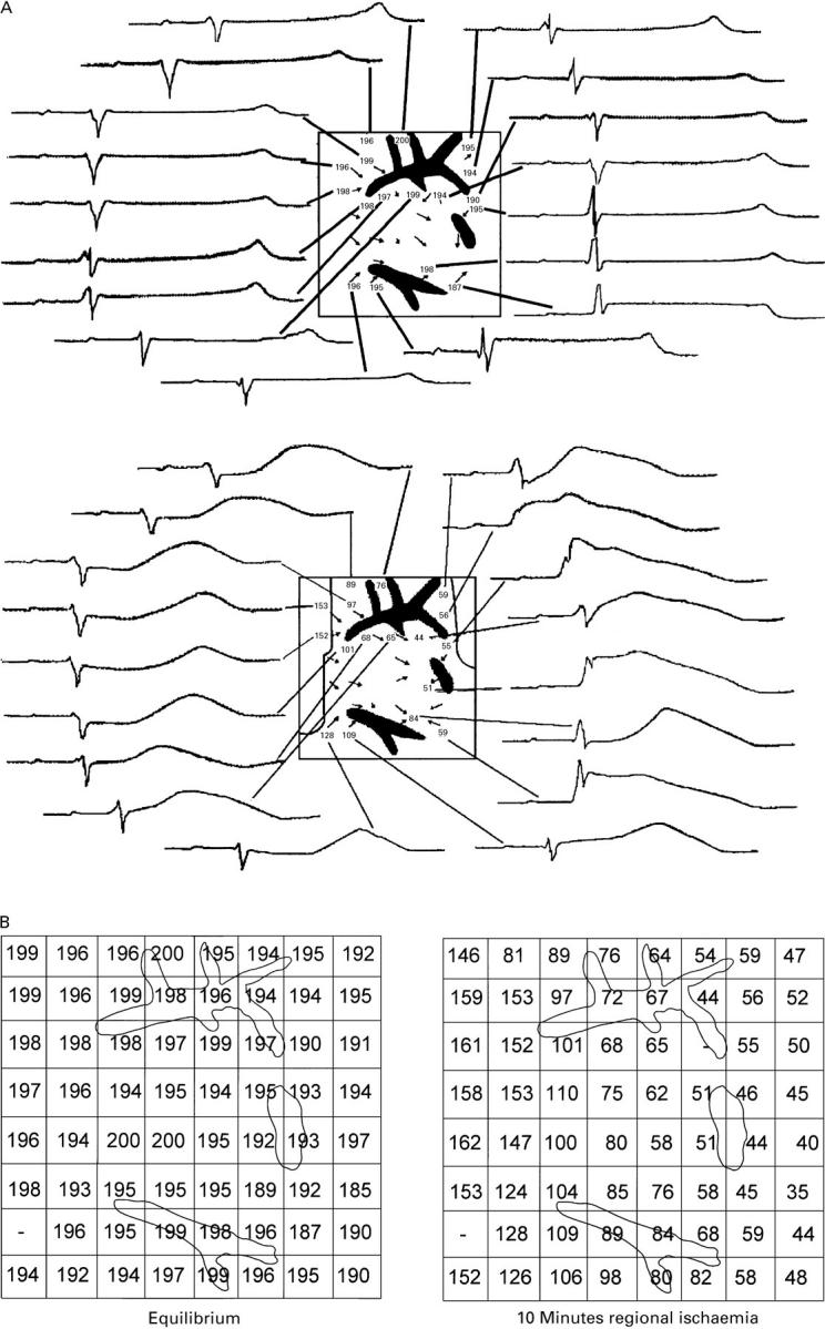 Figure 2  