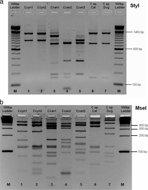 FIG. 1.