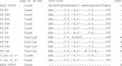 FIG. 3.