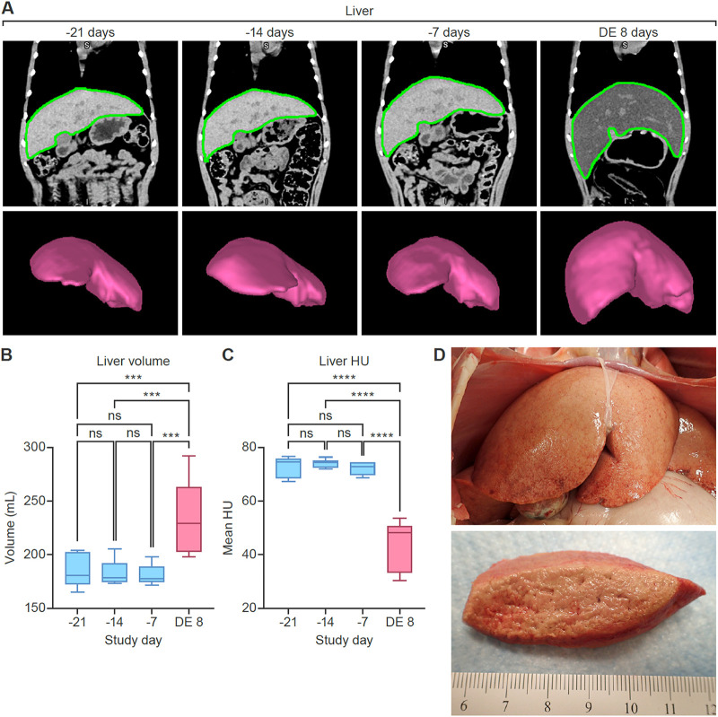 FIG 3