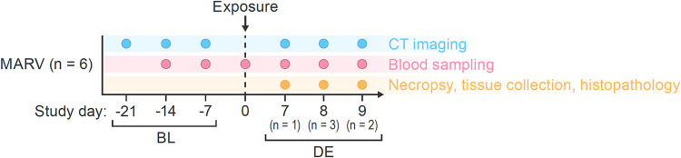 FIG 1